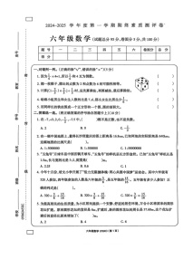 河南省周口市项城市2024-2025学年六年级上学期期末数学试题