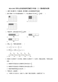 2024-2025学年山东省济南市历城区六年级（上）期末数学试卷