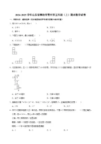 2024-2025学年山东省潍坊市青州市五年级(上)期末数学试卷