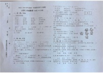 山东省烟台市龙口市2024-2025学年二年级上学期1月期末数学试题