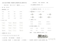 苏教版（2024）一年级上册《认位置》巩固练习