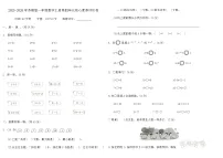 苏教版（2024）一年级上册《认位置》巩固练习