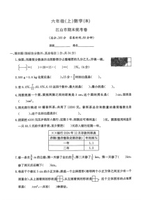 浙江省衢州市江山市2024-2025学年六年级上学期期末考试数学试题