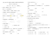 2025-2026学年人教版三年级数学上册期中综合素养提优卷（含答案）