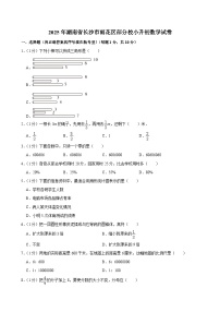 2025年湖南省长沙市雨花区部分校小升初数学试卷