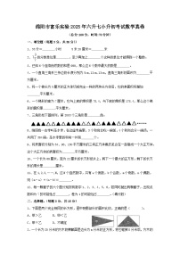 四川省绵阳市富乐实验学校2025年小升初考试数学真卷（附答案）
