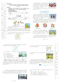 2026年1月世界少年奥林匹克思维能力测评活动（地区赛）四年级数学竞赛试题