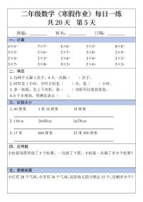 二年级数学寒假作业5