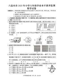 贵州省六盘水市2024-2025学年六年级下学期期末考试数学试题