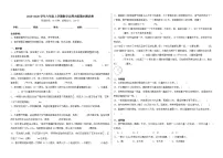 2025-2026学年六年级上学期数学北师大版期末测试卷(含答案解析)