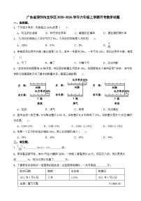 广东省深圳市龙华区2025-2026学年六年级上学期月考数学试题（含解析）