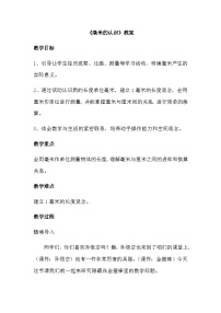 数学三年级上册（2024）毫米、分米的认识教案