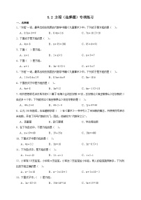 北师大版（2024）四年级下册方程精练