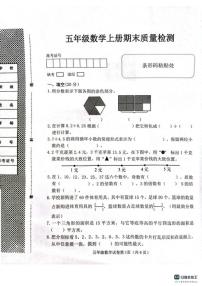 2025-2026学年河北省邯郸市肥乡区五年级上学期数学期末试卷（含答案）