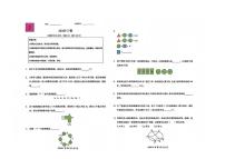 2026年1月希望数学竞赛E卷(无答案)2年级