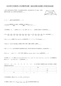 2025年江苏南京小升初数学试卷(拔尖创新丘成桐少年班活动A组)(有答案解析)