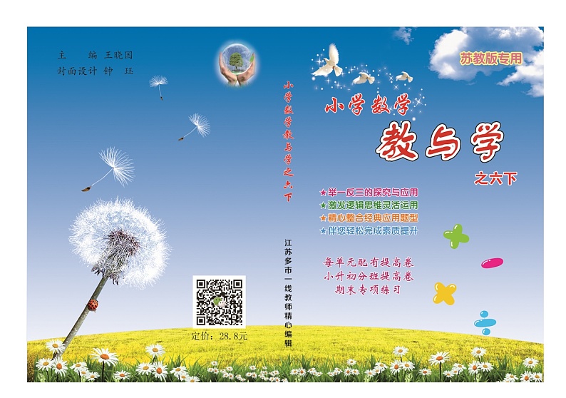 苏教版数学六年级下册数学提高卷样稿01