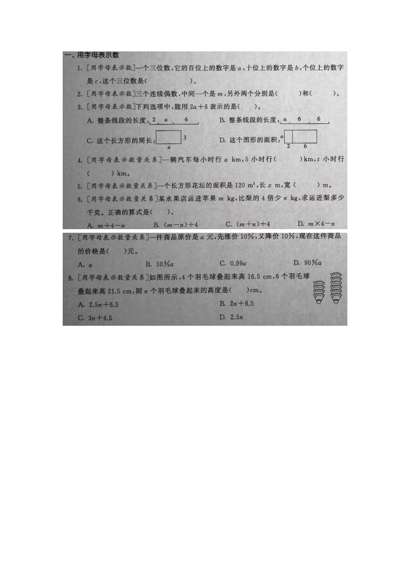 数学小升初总复习 重点专题训练 式与方程 通用版01