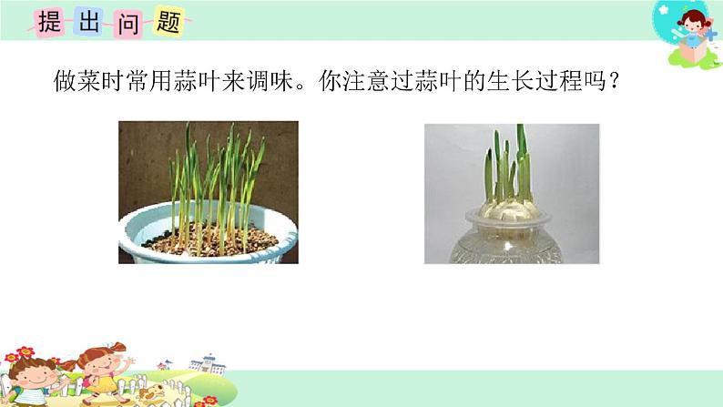 10.综合与实践:蒜叶的生长 课件02