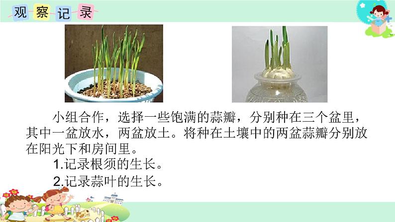 10.综合与实践:蒜叶的生长 课件03