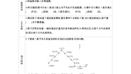 小学数学冀教版五年级上册一 方向与路线导学案及答案