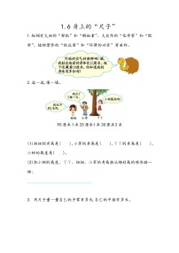 小学数学北京版二年级上册身上的“尺子”课后练习题