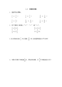 青岛版 (六三制)六年级上册一 小手艺展示——分数乘法课时训练