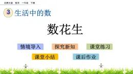 3.1《数花生》PPT课件 北师大版数学小学一年级下册