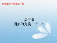 浙教版 六年级下册数学课件-图形的变换2(共13张PPT)课件