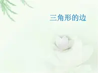 浙教版四年级下册数学课件-4.19三角形的边  (共15张PPT)课件