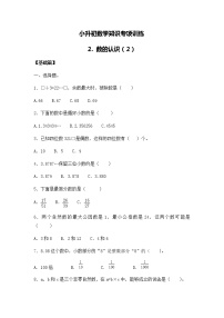 小升初数学知识专项训练一   数与代数-2.数的认识（2）（19页）