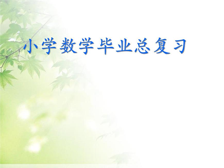 小學(xué)數(shù)學(xué)畢業(yè)總復(fù)習(xí)課件2第1頁