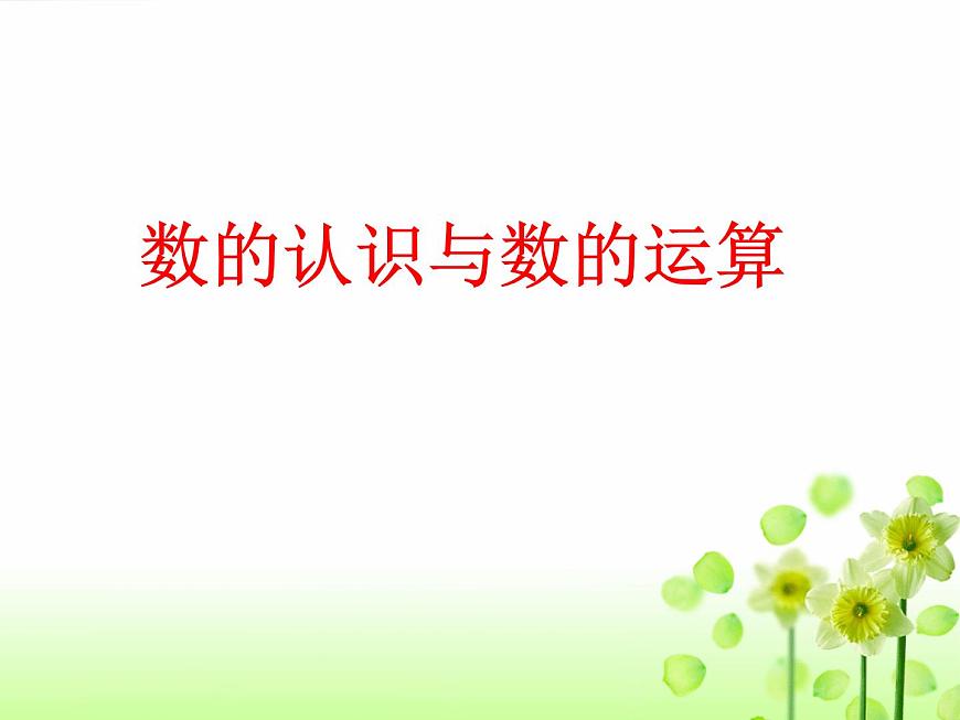 小學(xué)數(shù)學(xué)畢業(yè)總復(fù)習(xí)課件2第3頁