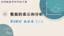 北师版数学四年级下册 6.3《栽蒜苗（二）》PPT课件