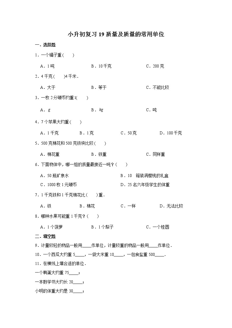 小升初复习19:质量及质量的常用单位 练习(含解析)01