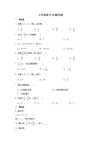 小升初复习18：解比例 练习（含解析）