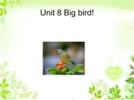 北师大版（一起）三年级英语下册Unit 8 Big bird! 课件1