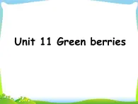 北师大版（一起）三年级英语下册Unit 11 Green berries 课件3