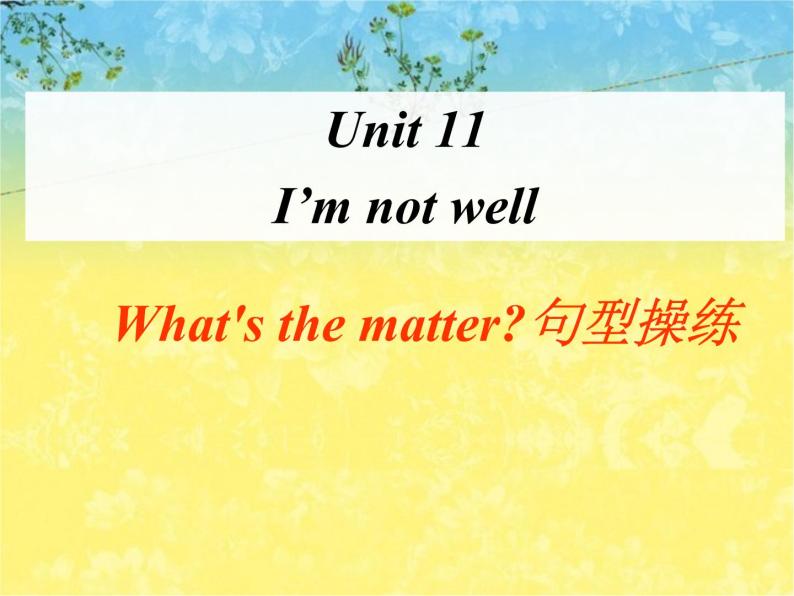 北师大版（一起）三年级英语下册Unit 11 I'm not well---What's the matter句型操练01