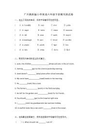 广州教科版小学英语六年级下册期末测试卷  无答案