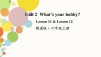 人教精通版六年级上册Unit 2 What's your hobby?Lesson 12教课内容课件ppt