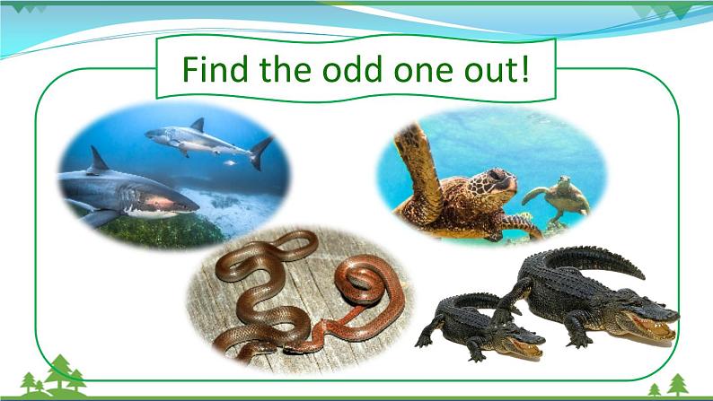 【人教新起点】六年级上册英语(精选)课件(内嵌素材)-Unit 3 Animal World第二课时 Lesson 206