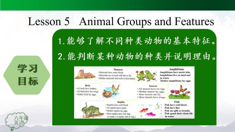 【人教新起点】六年级上册英语（精选）课件（内嵌素材）-Unit 3 Animal World第五课时  Lesson 303