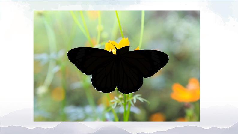 【人教新起点】六年级上册英语(精选)课件(内嵌素材)-Unit 3 Animal World 第三课时 Lesson 304