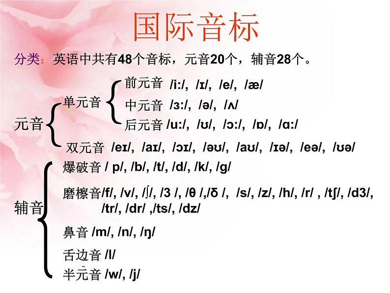 48个国际音标英语音标教学课件第3页