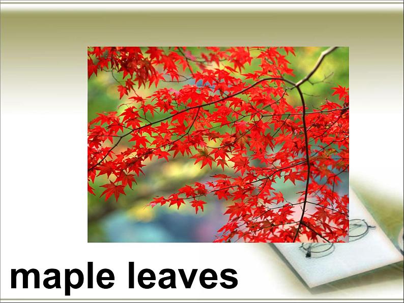 Unit 6 Countries Lesson 2 课件 1第5页