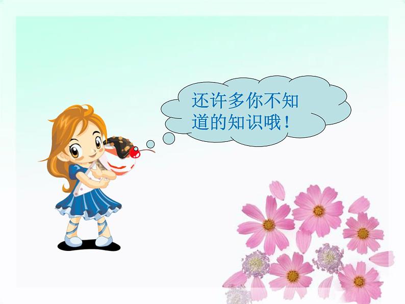 Unit 6 Countries Lesson 2 课件 1第8页