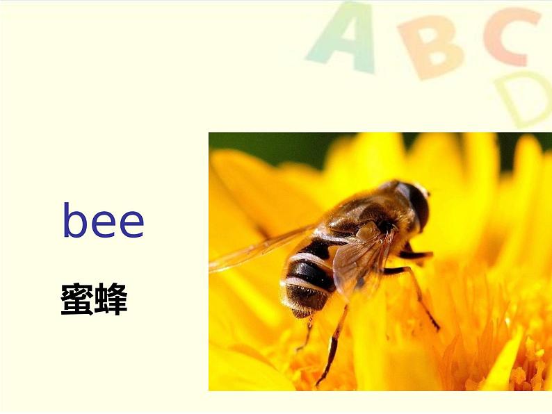Unit 2 Good morning Lesson 6 课件+教案+素材+练习(含答案)08