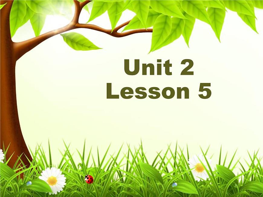 Unit2 WHAT DO YOU DO ON SUNDAY Lesson 5 課件第1頁