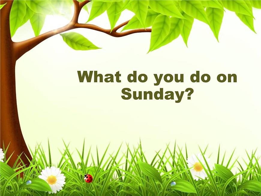 Unit2 WHAT DO YOU DO ON SUNDAY Lesson 5 課件第4頁